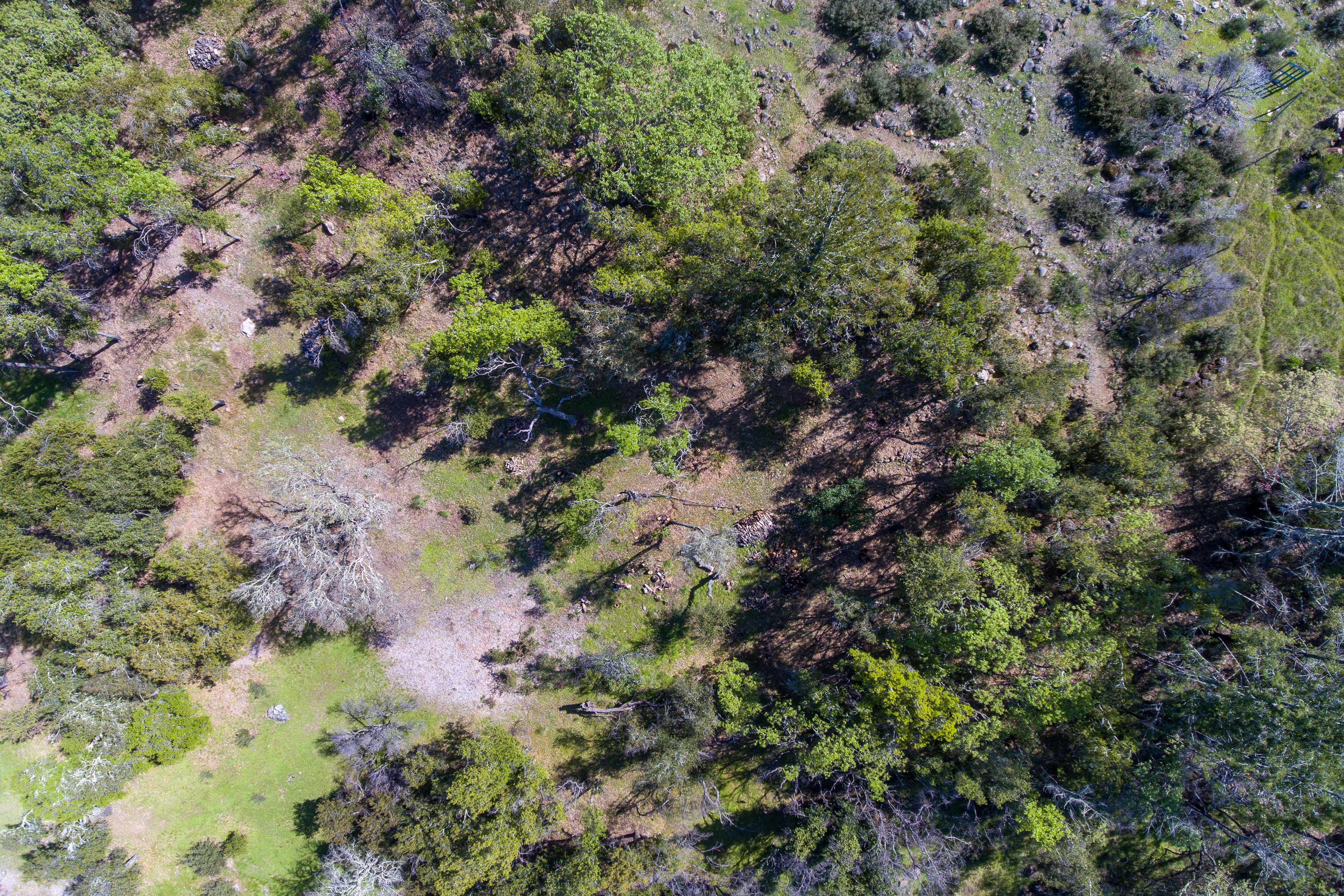  7935 St Helena Road - 物件實景