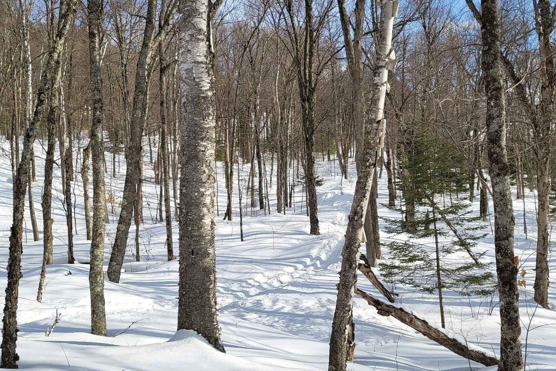  Lac-Tremblant-Nord, Laurentides - 物件實景