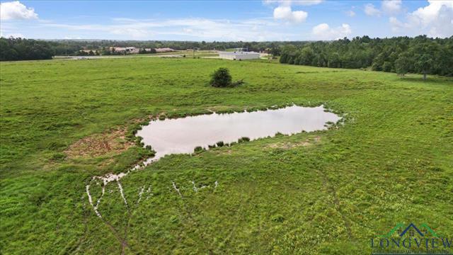 Henderson, Texas, 75654, United States, ,Land,For Sale,1885334