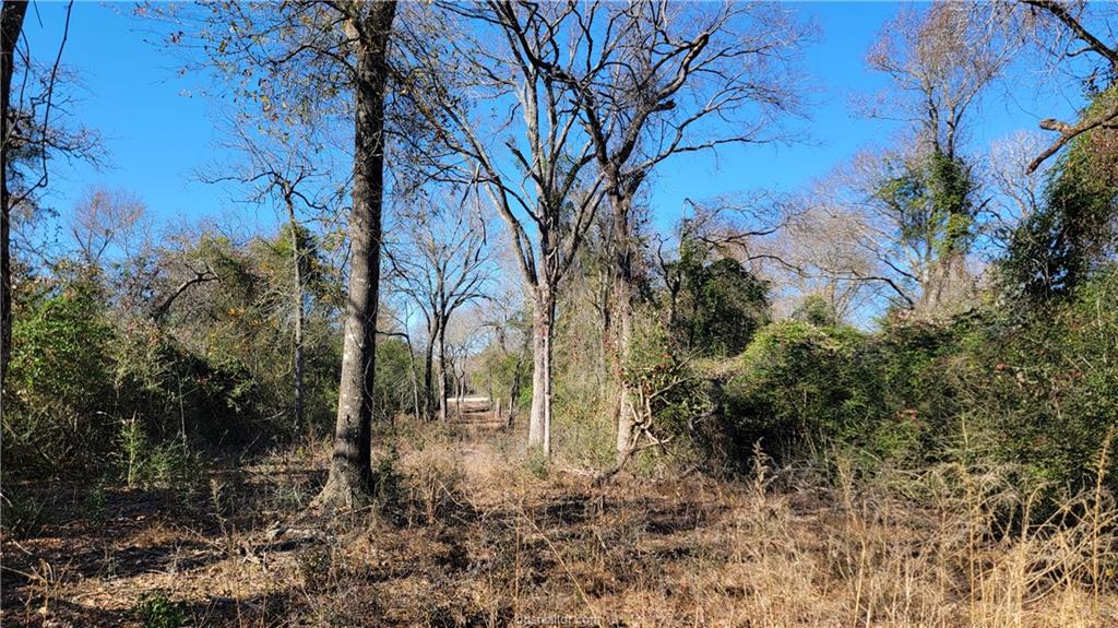 Franklin, Texas, 77856, United States, 4 Bedrooms Bedrooms, ,3 BathroomsBathrooms,Residential,For Sale,1928419