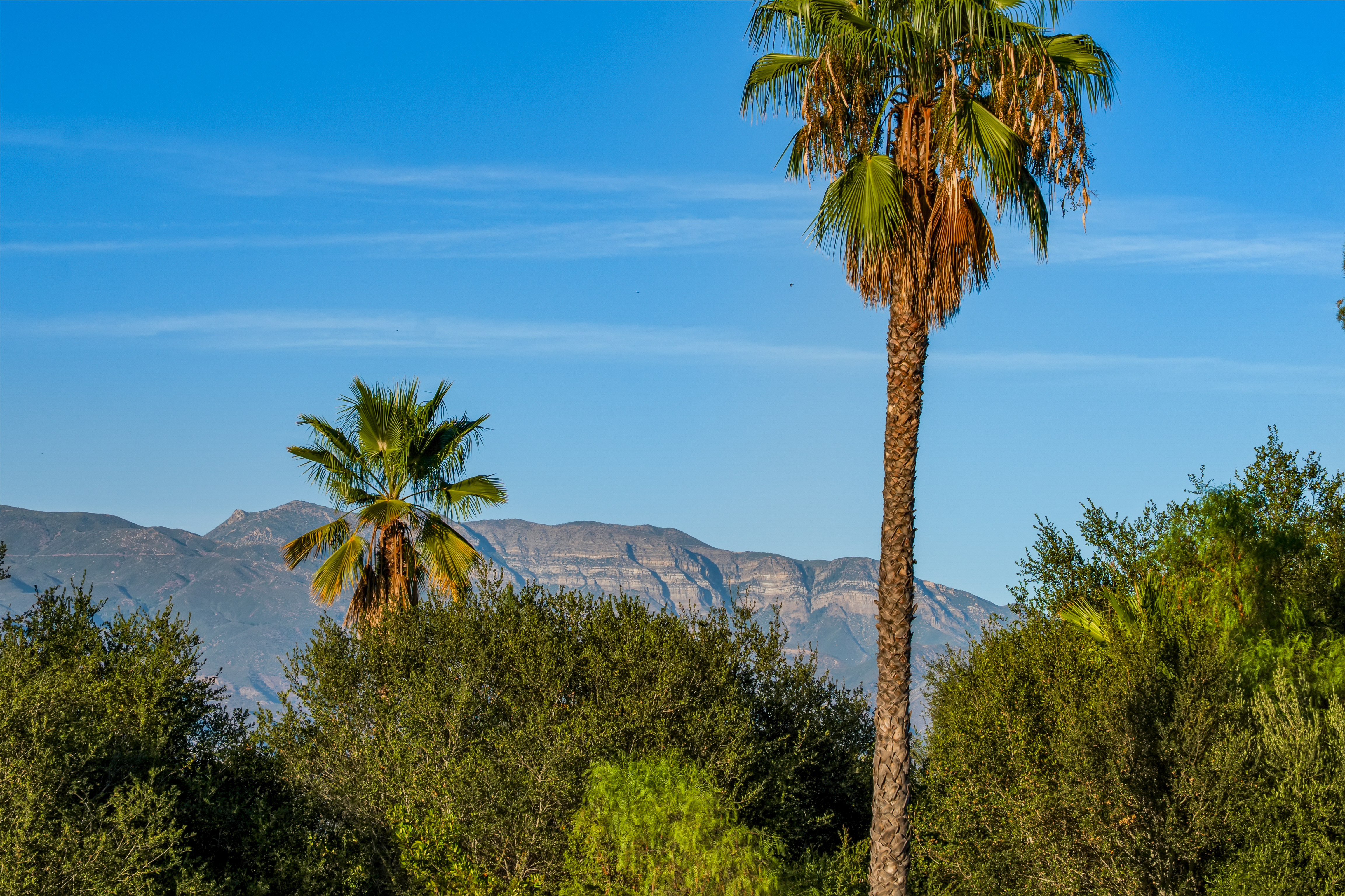  1420 Arundale Access, Ojai, CA 93023 - 物件實景