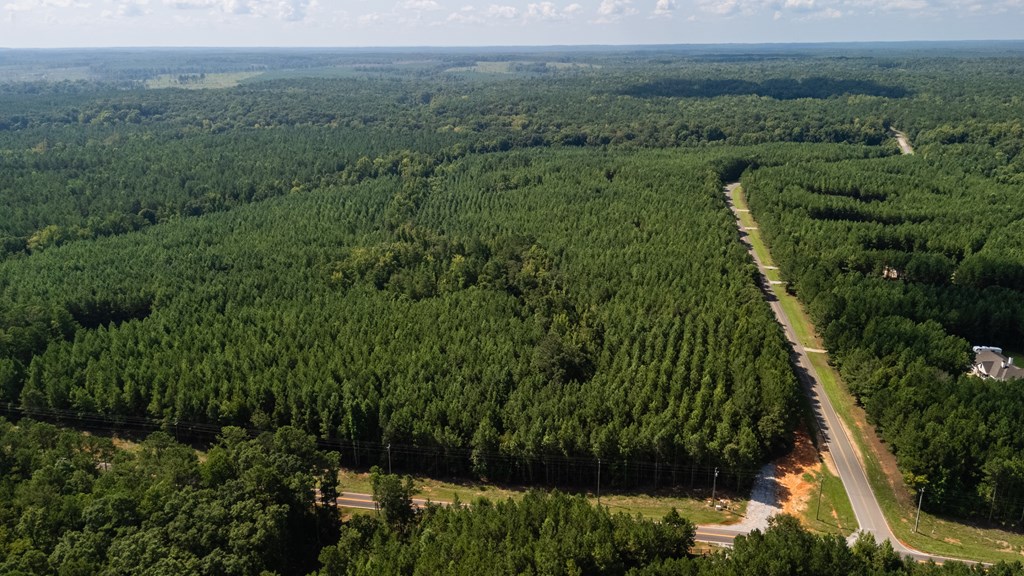 Hamilton, Georgia, 31811, United States, ,Land,For Sale,1919731