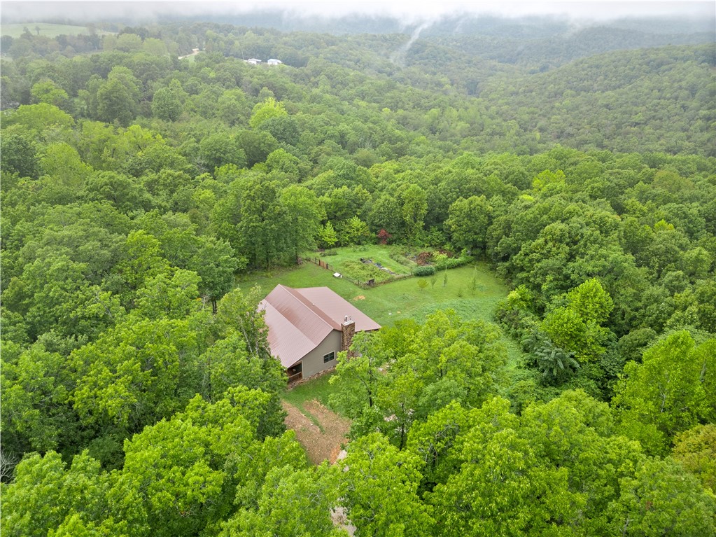 Dogpatch, Arkansas, 72648, United States, 3 Bedrooms Bedrooms, ,3 BathroomsBathrooms,Residential,For Sale,1958320