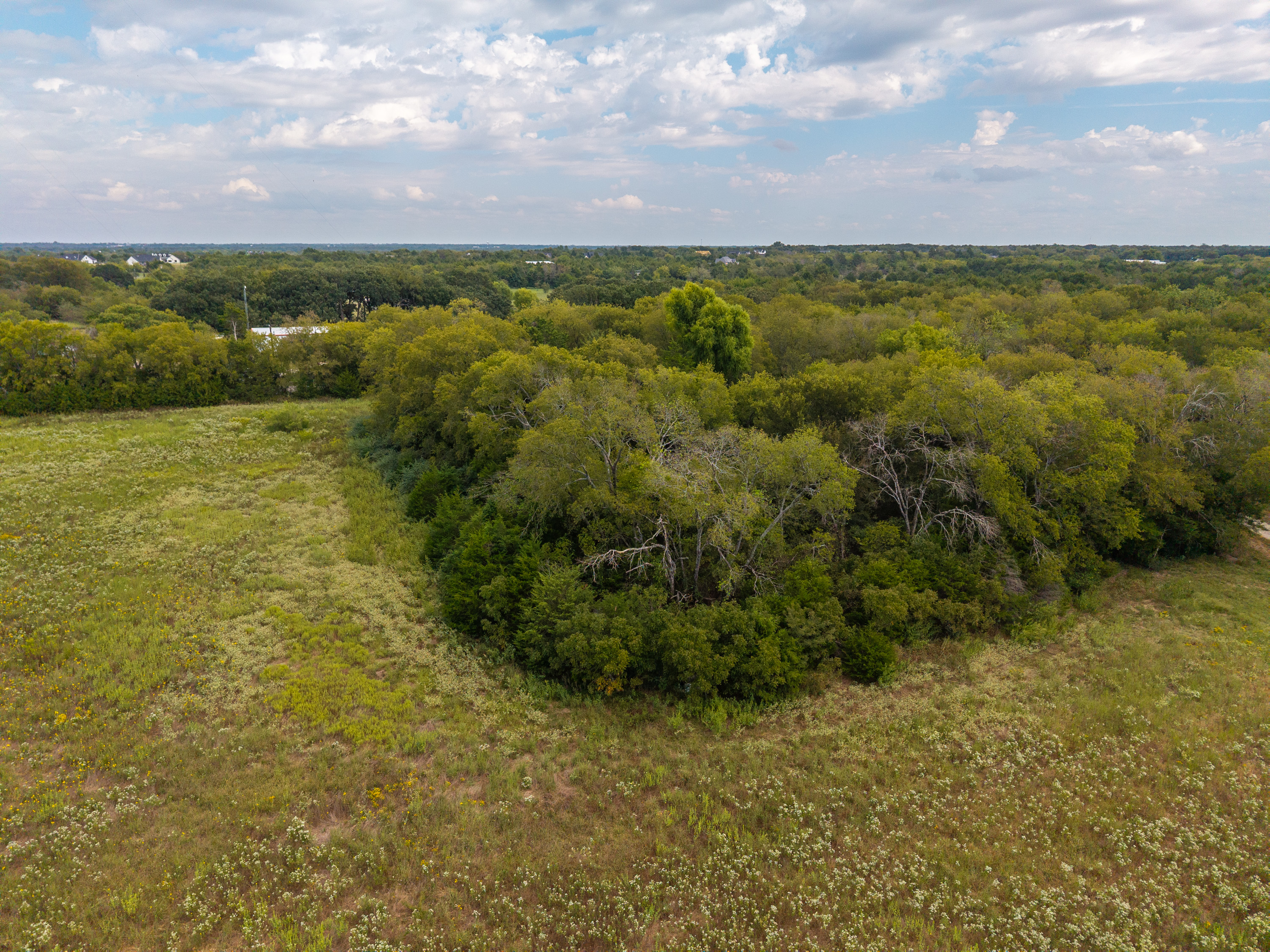 Caddo Mills, Texas, 75135, United States, ,Land,For Sale,1981418