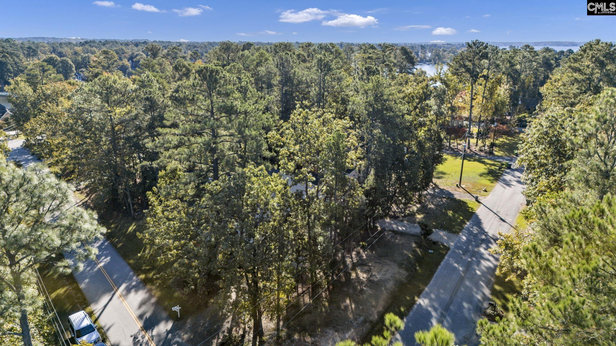 Chapin, South Carolina, 29036, United States, 4 Bedrooms Bedrooms, ,3 BathroomsBathrooms,Residential,For Sale,1986709