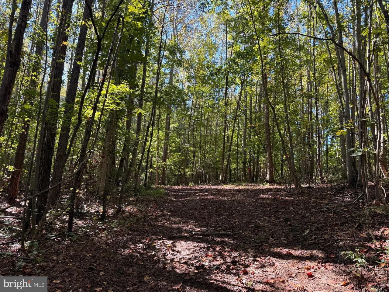 Appomattox, Virginia, 24522, United States, ,Land,For Sale,1982903