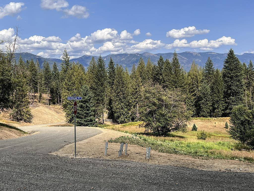 Sagle, Idaho, 83860, United States, ,Land,For Sale,1974286