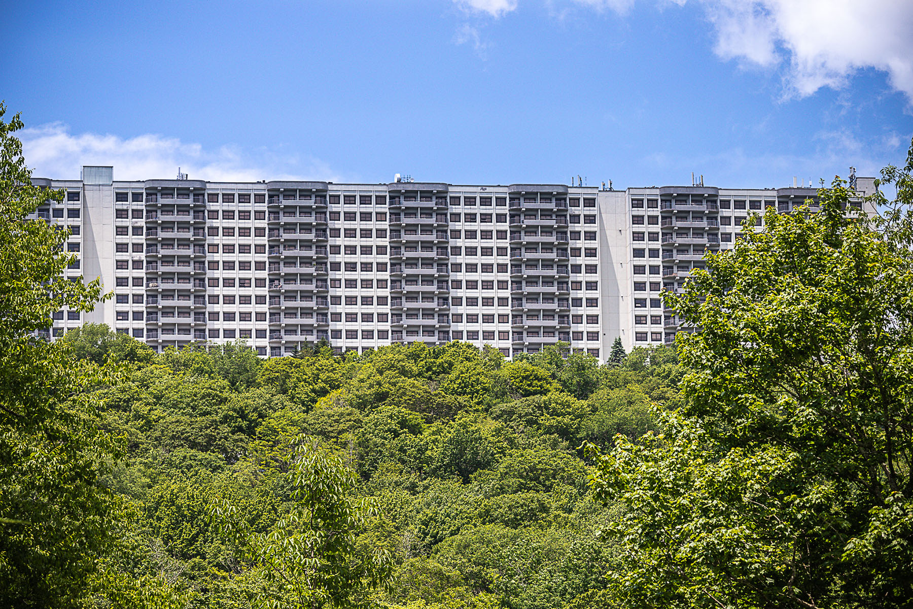  SUGAR TOP - 物件實景