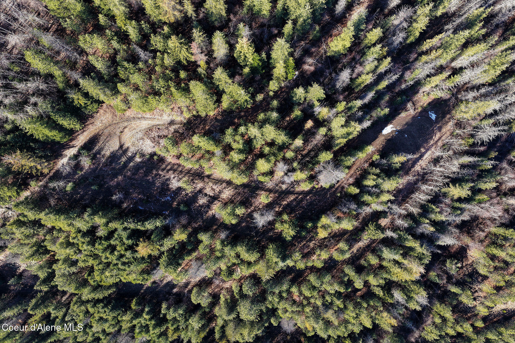 Kellogg, Idaho, 83837, United States, ,Land,For Sale,2012568