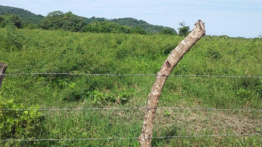 Fraccion I Parcela 1166, Compostela, Nayarit, 63724, Mexico, 1 Bedroom Bedrooms, ,Residential,For Sale, Fraccion I Parcela 1166,1672156