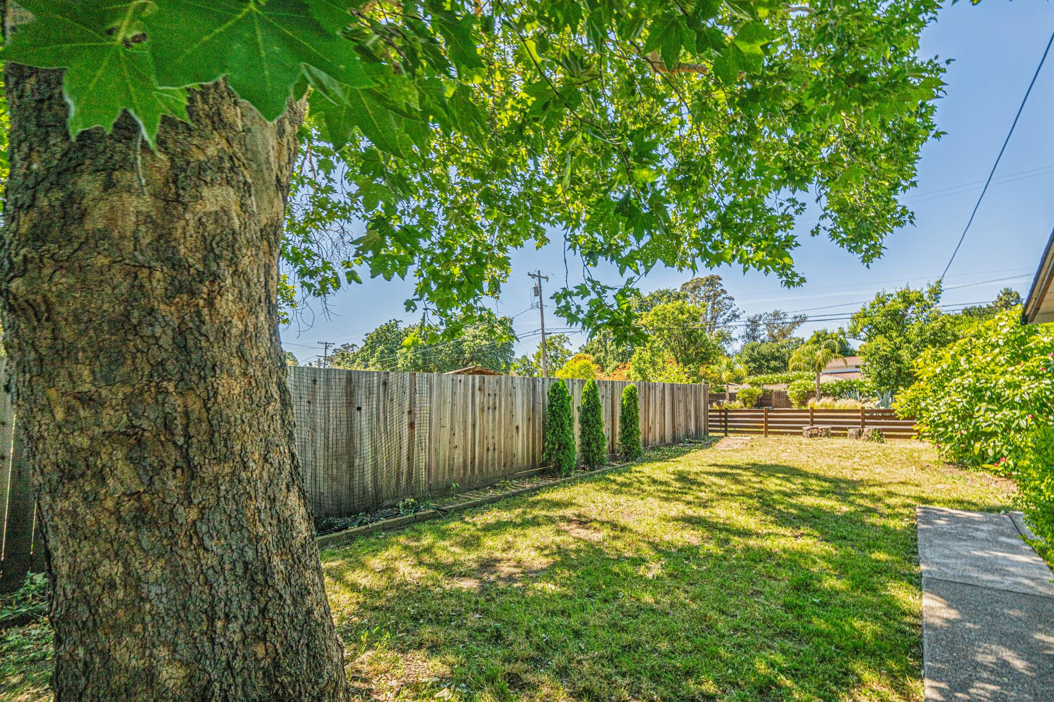  1080 Solano Avenue - 物件實景