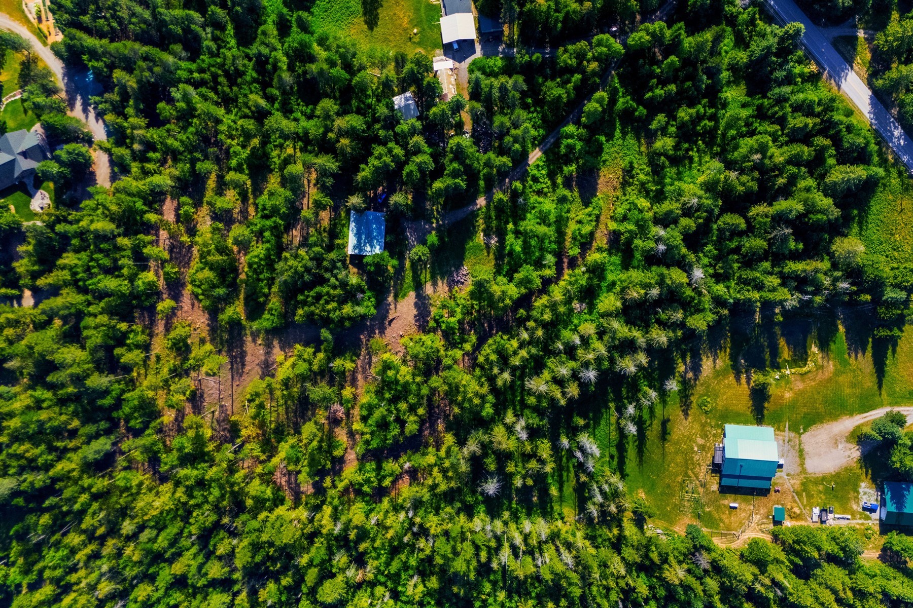  113 Tanager Lane - 物件實景