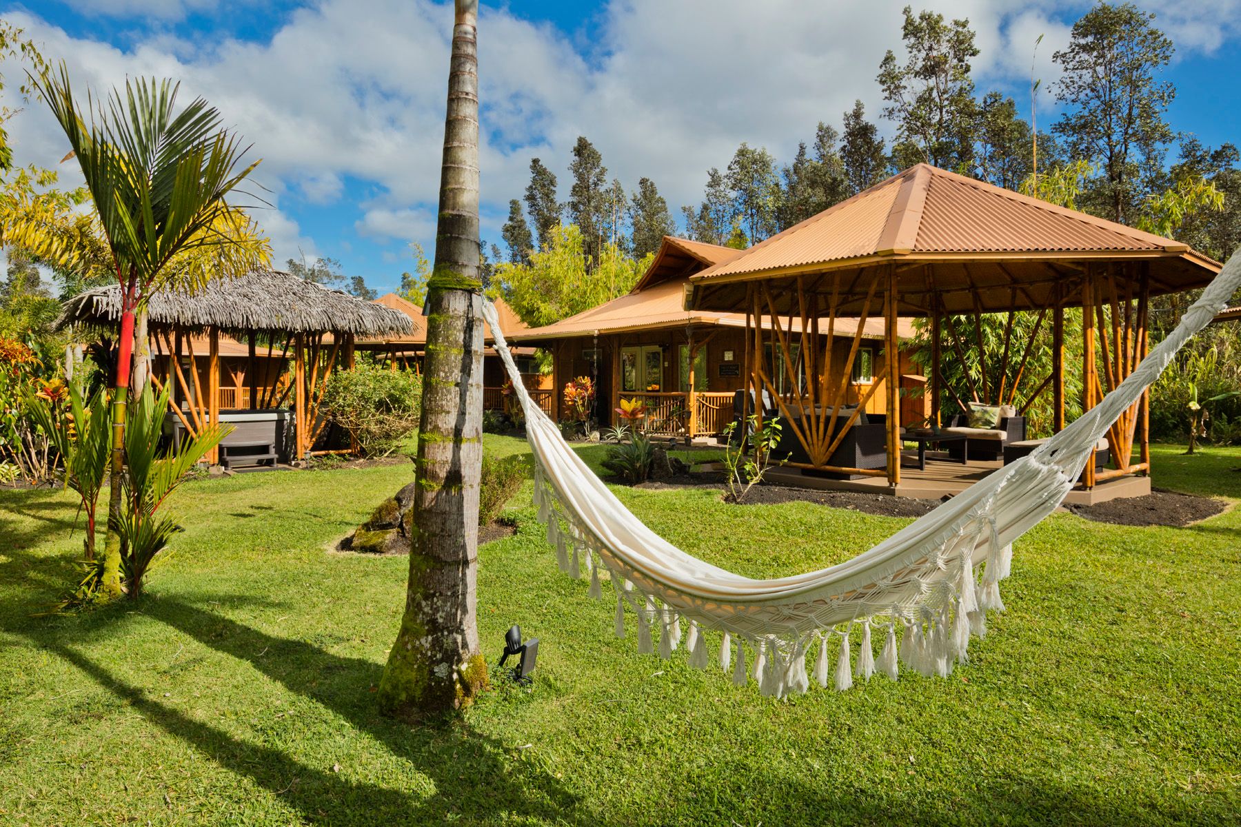  11-2884 Hibiscus Street, Mountain View, HI, 96771 - 物件實景