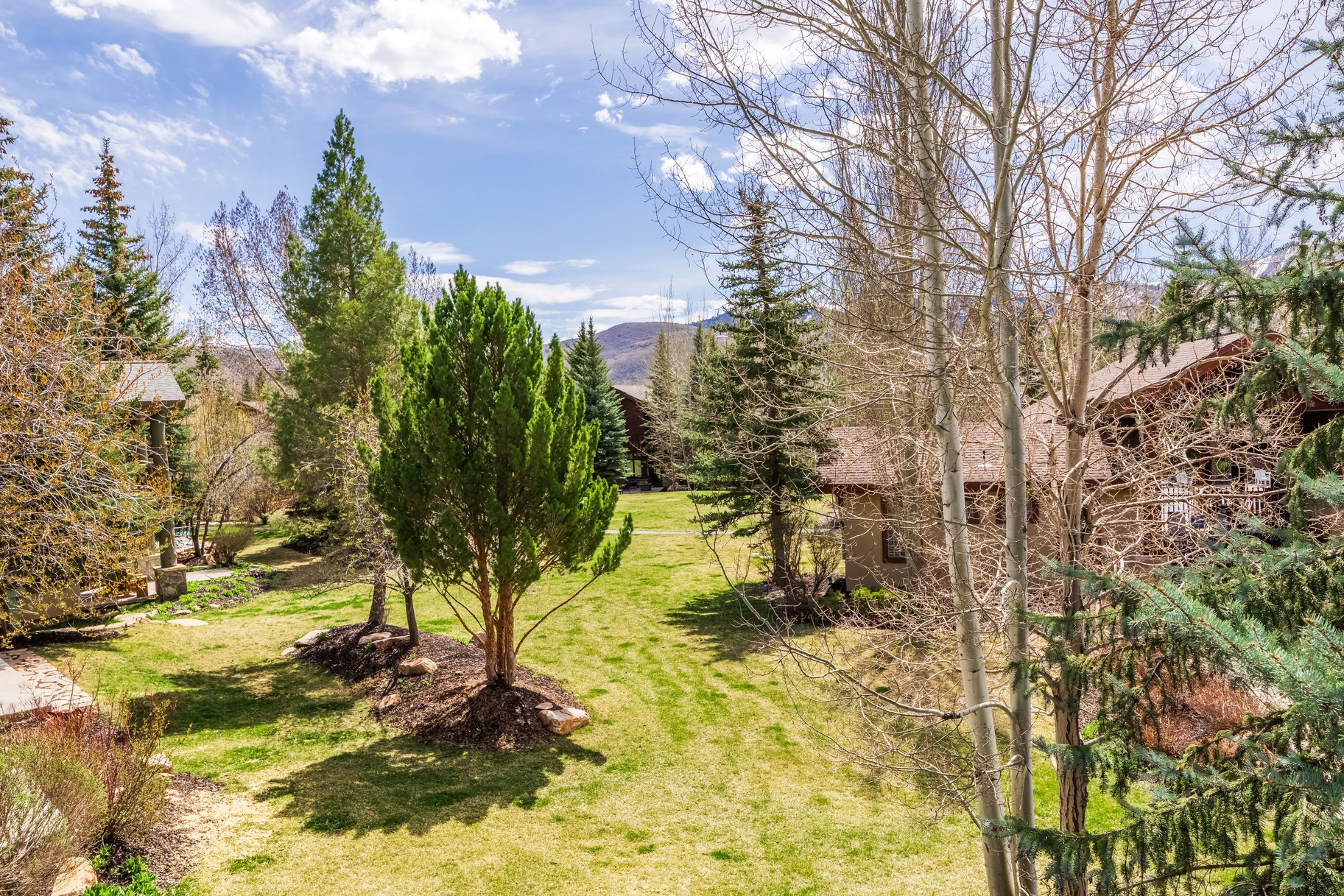  Refined Park Meadows Corner Residence with Ski Run Views & Designer Renovations - 物件實景