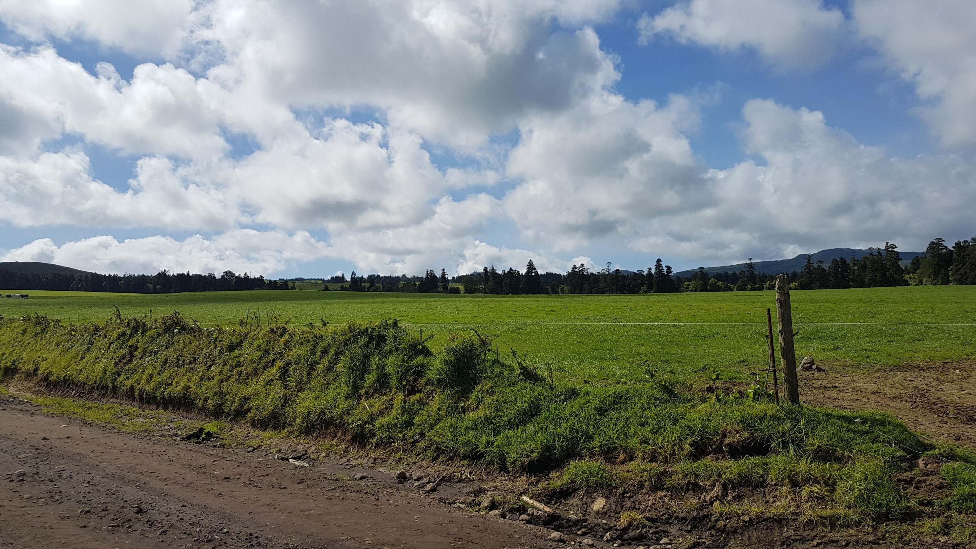 Ribeira Grande, Ilha de São Miguel, 9600, PT, ,Land,For Sale,1699985