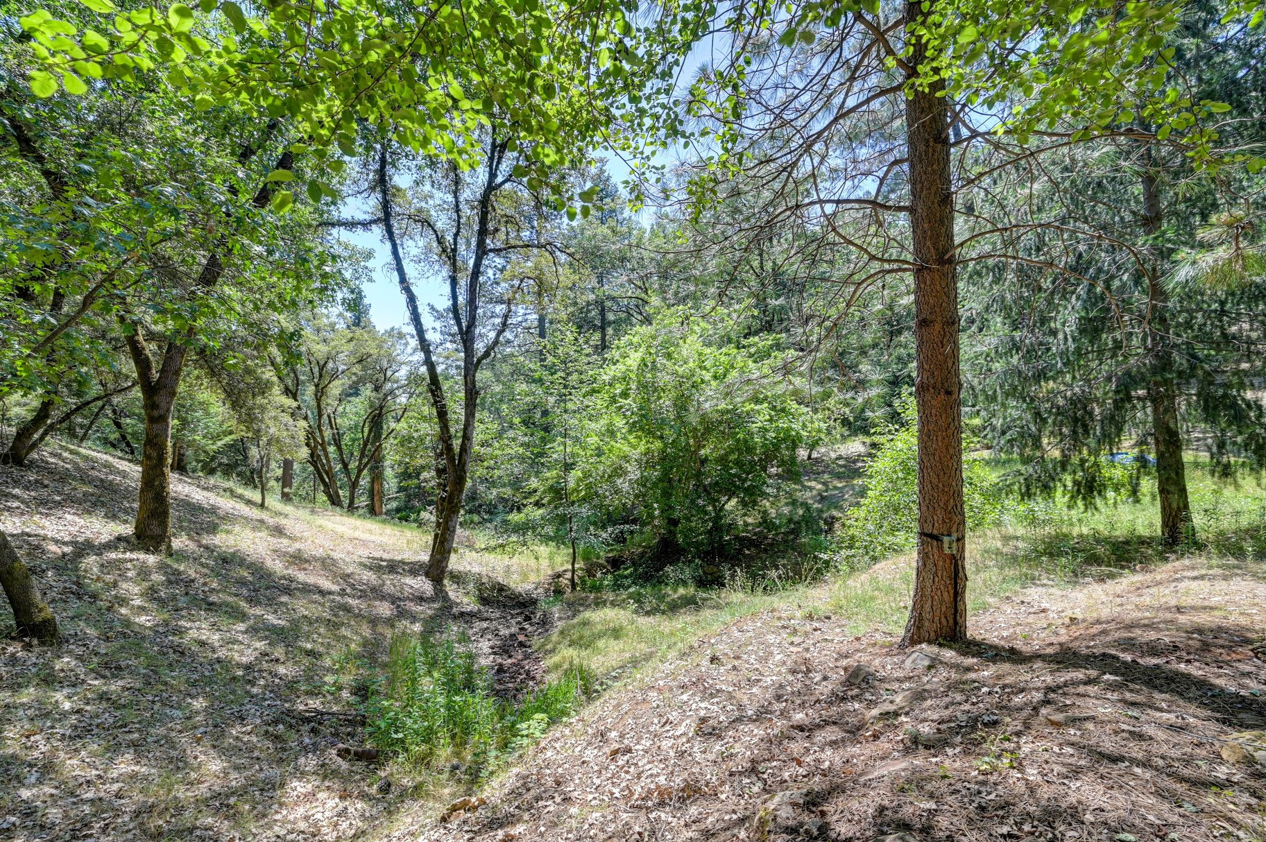  Immaculately Maintained Country Retreat on Acreage with pond - 物件實景