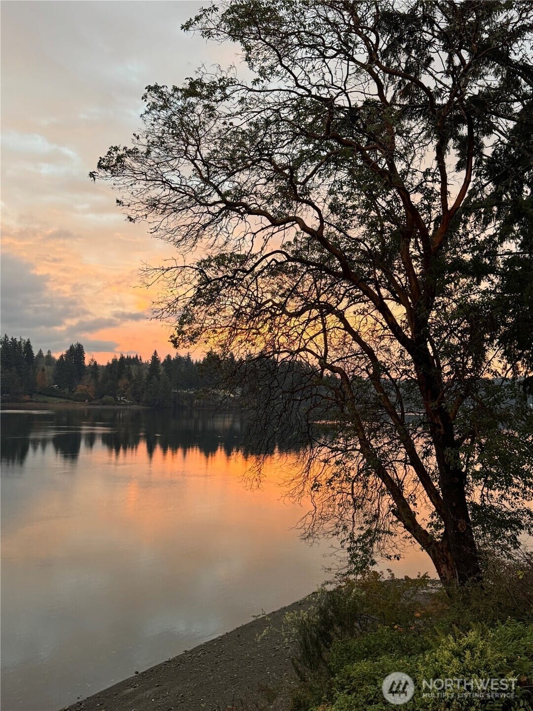 Shelton, Washington, 98584, United States, 3 Bedrooms Bedrooms, ,2 BathroomsBathrooms,Residential,For Sale,1992826