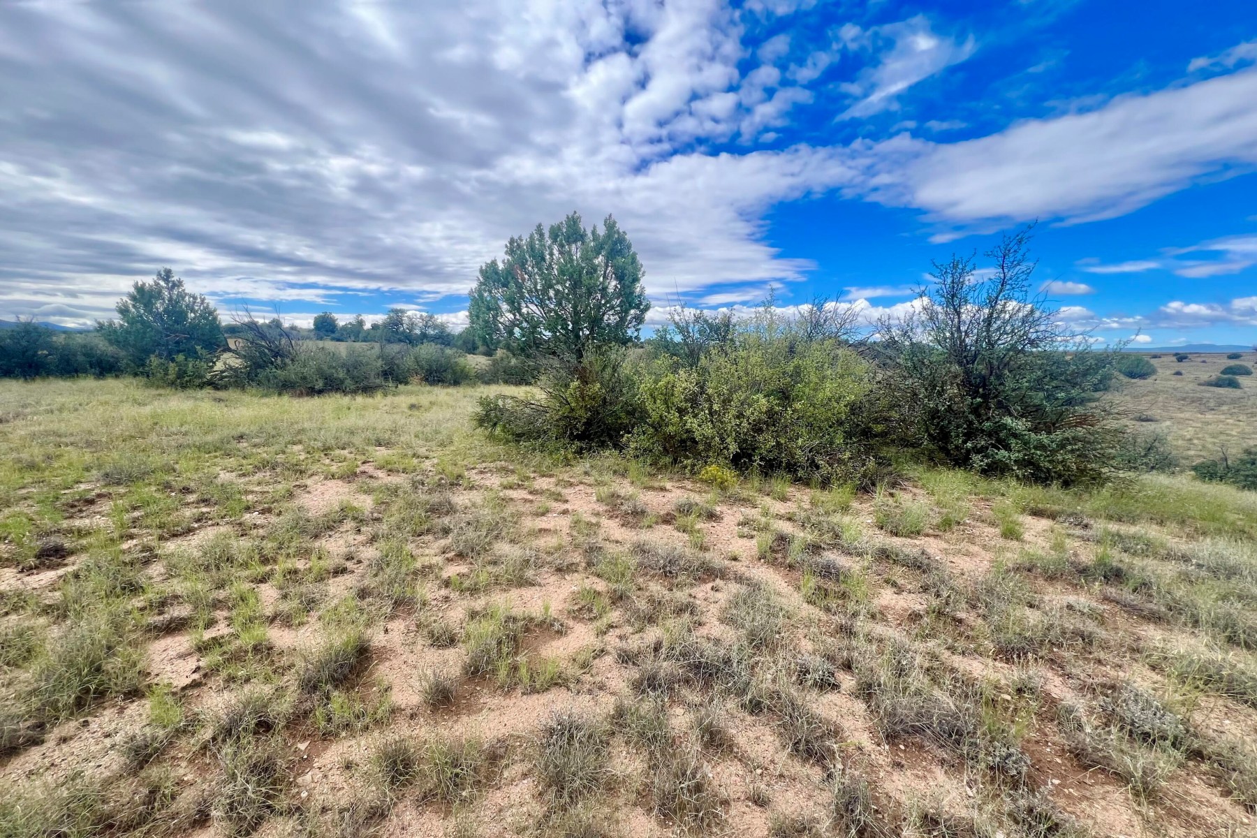  14565 N Puntenney Road¦Prescott, AZ - 物件實景