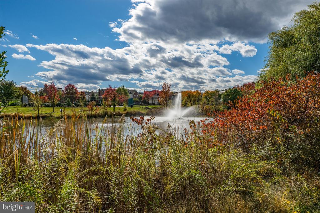 Leesburg, Virginia, 20175, United States, 5 Bedrooms Bedrooms, ,4 BathroomsBathrooms,Residential,For Sale,1987401