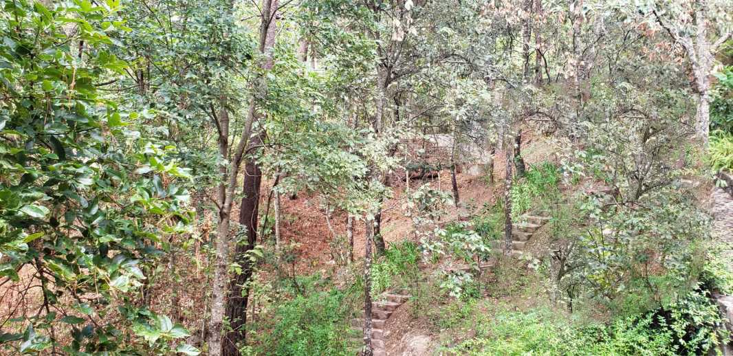Valle de Bravo, Estado de México, 51200, Mexico, 1 Bedroom Bedrooms, ,Residential,For Sale,1739310
