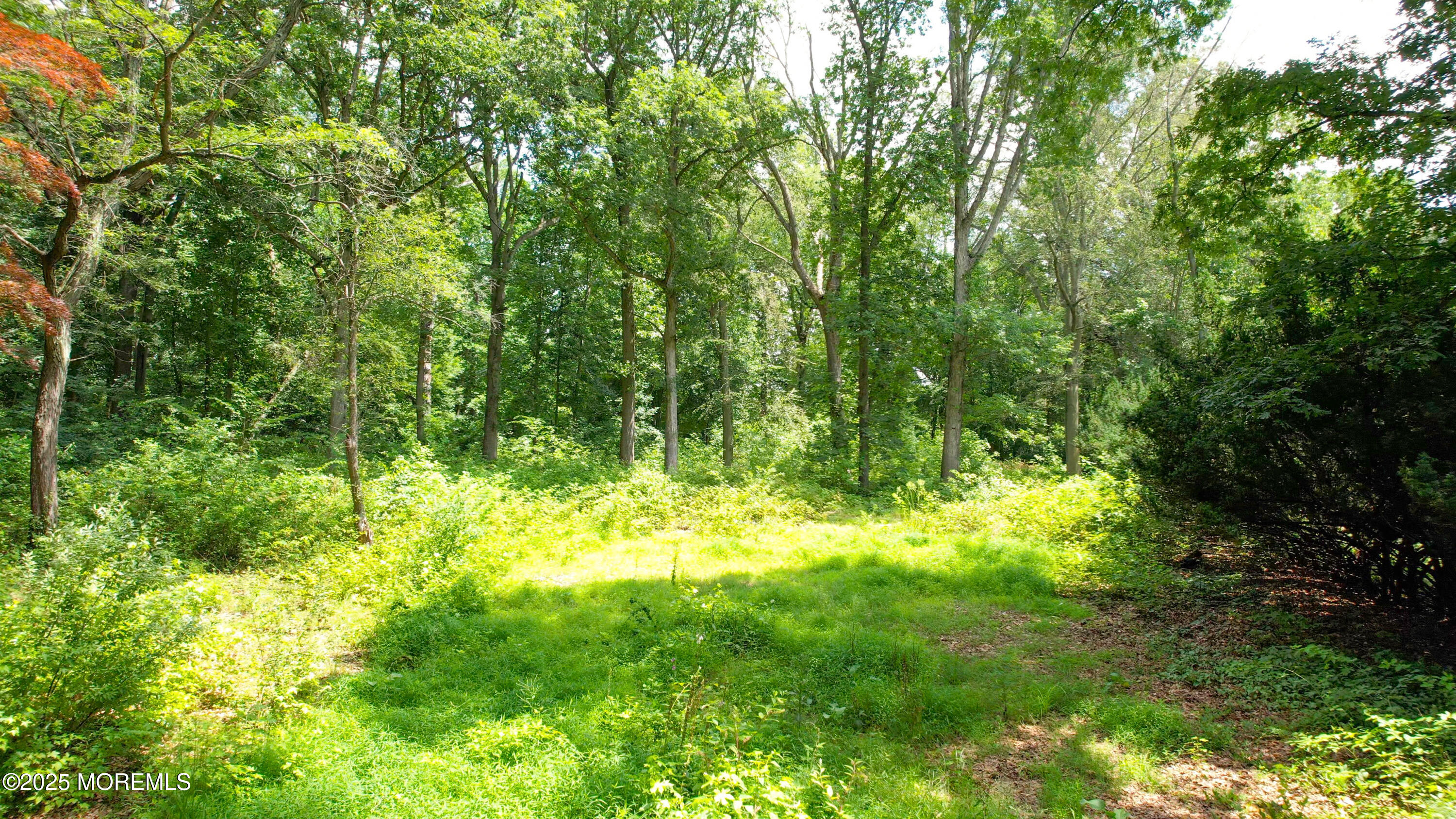 Monroe, New Jersey, 08831, United States, ,Land,For Sale,1932074