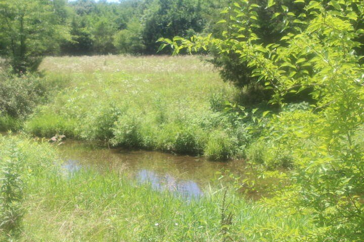 Polk, Missouri, 65727, United States, ,Land,For Sale,1980569