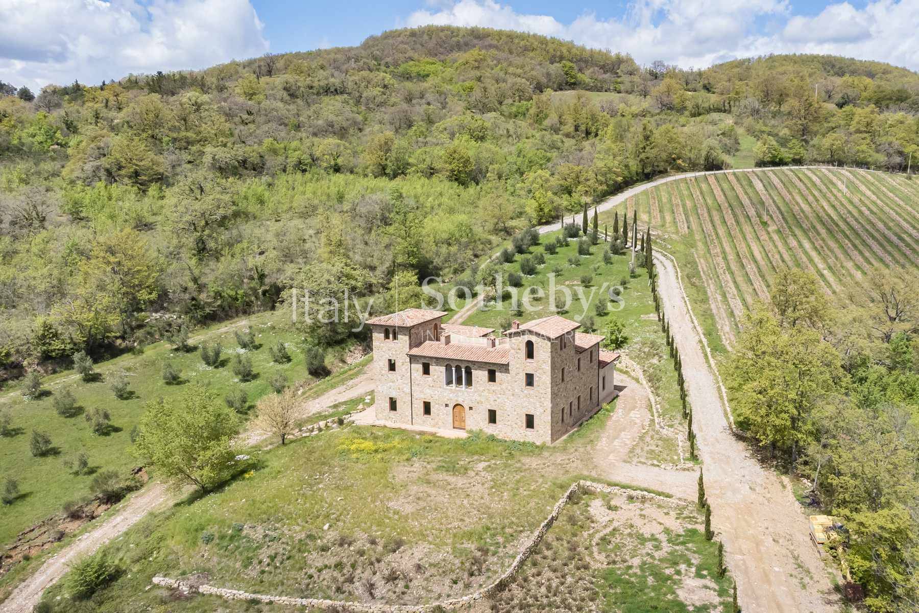  Fascinating property with vineyards and olive groves - 物件實景