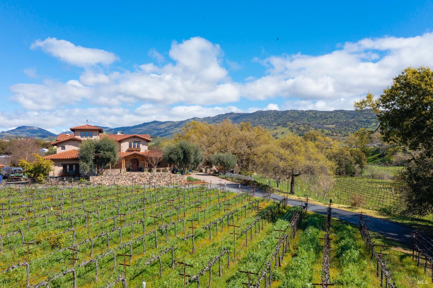 Napa, California, 94558, United States, 8 Bedrooms Bedrooms, ,9 BathroomsBathrooms,Residential,For Sale,1729911