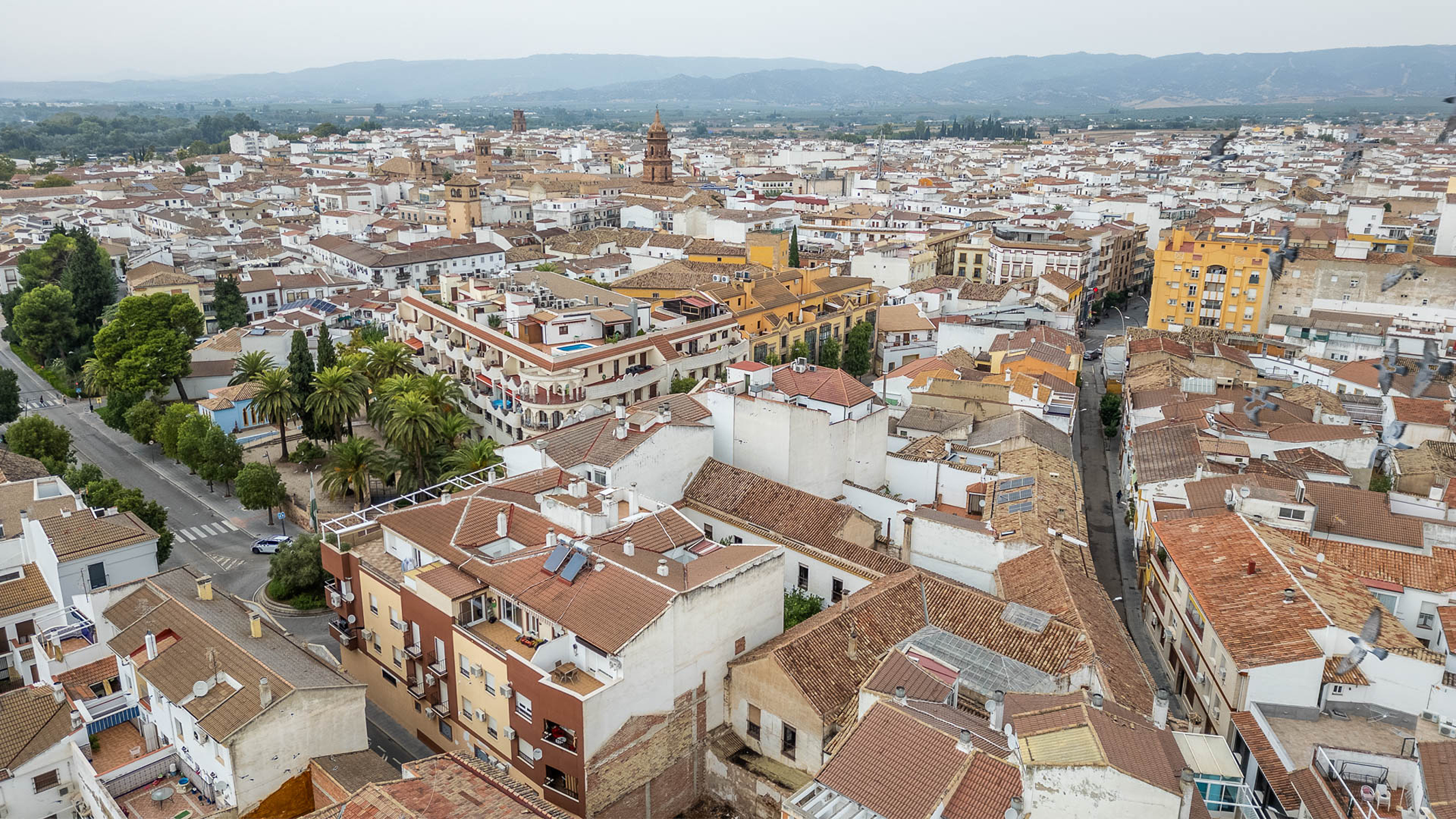  Palace house in Andújar: Ideal for apartment projects or boutique hotel - 物件實景