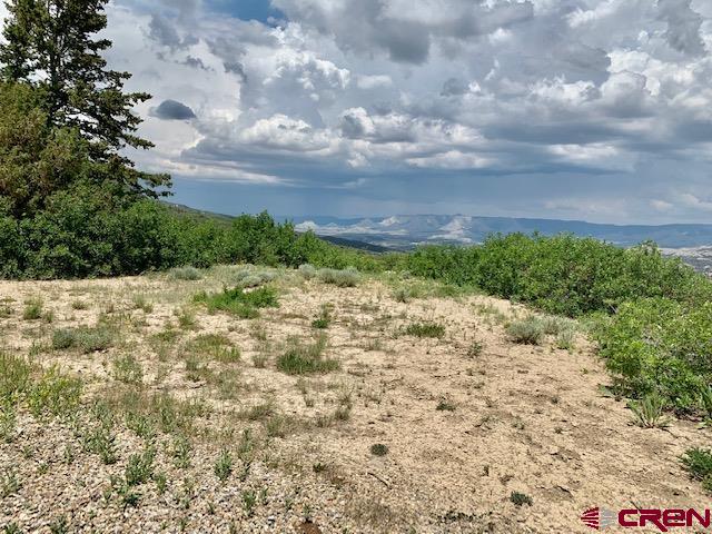 Cahone, Colorado, 81320, United States, 2 Bedrooms Bedrooms, ,2 BathroomsBathrooms,Residential,For Sale,1975248