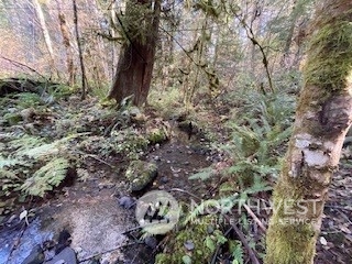 Packwood, Washington, 98937, United States, ,Residential,For Sale,1944866