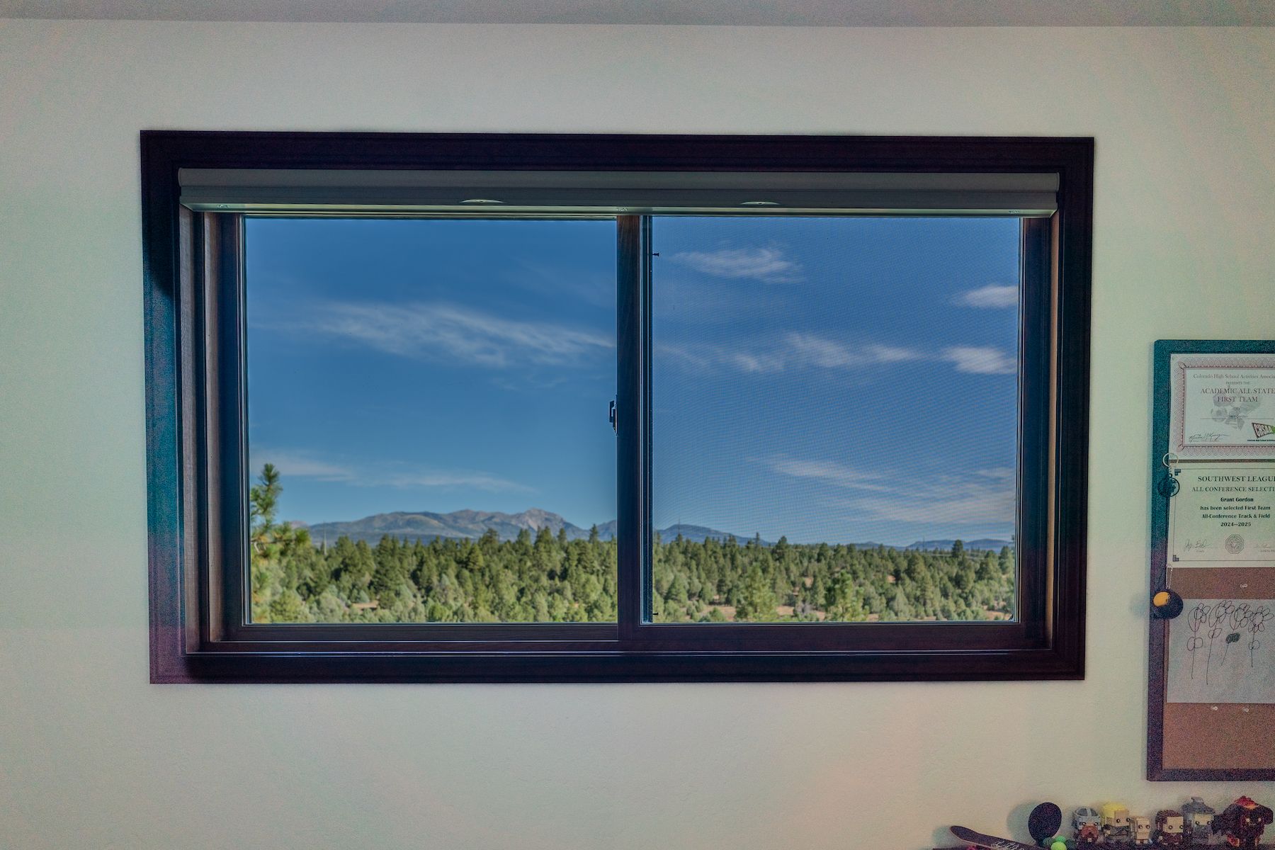  287 Wildcat Trail, Durango, CO 81301 - 物件實景