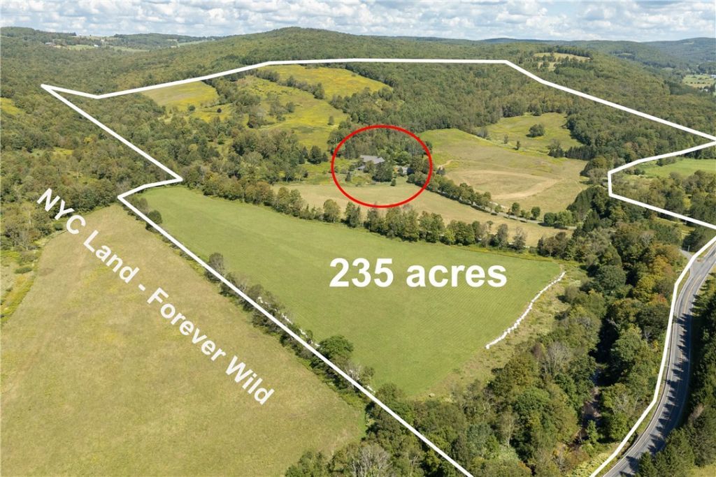 Walton, New York, 13856, United States, 4 Bedrooms Bedrooms, ,4 BathroomsBathrooms,Residential,For Sale,1947097