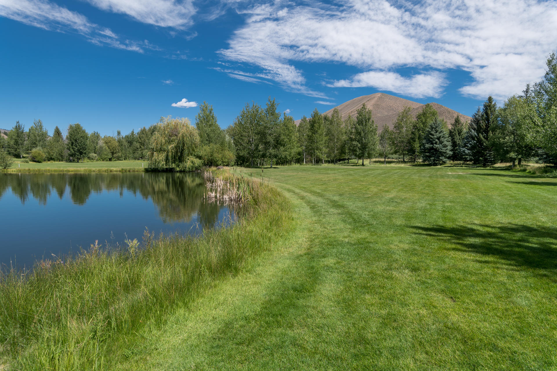 Blaine County, Idaho, 83333, United States, ,Land,For Sale,1794609