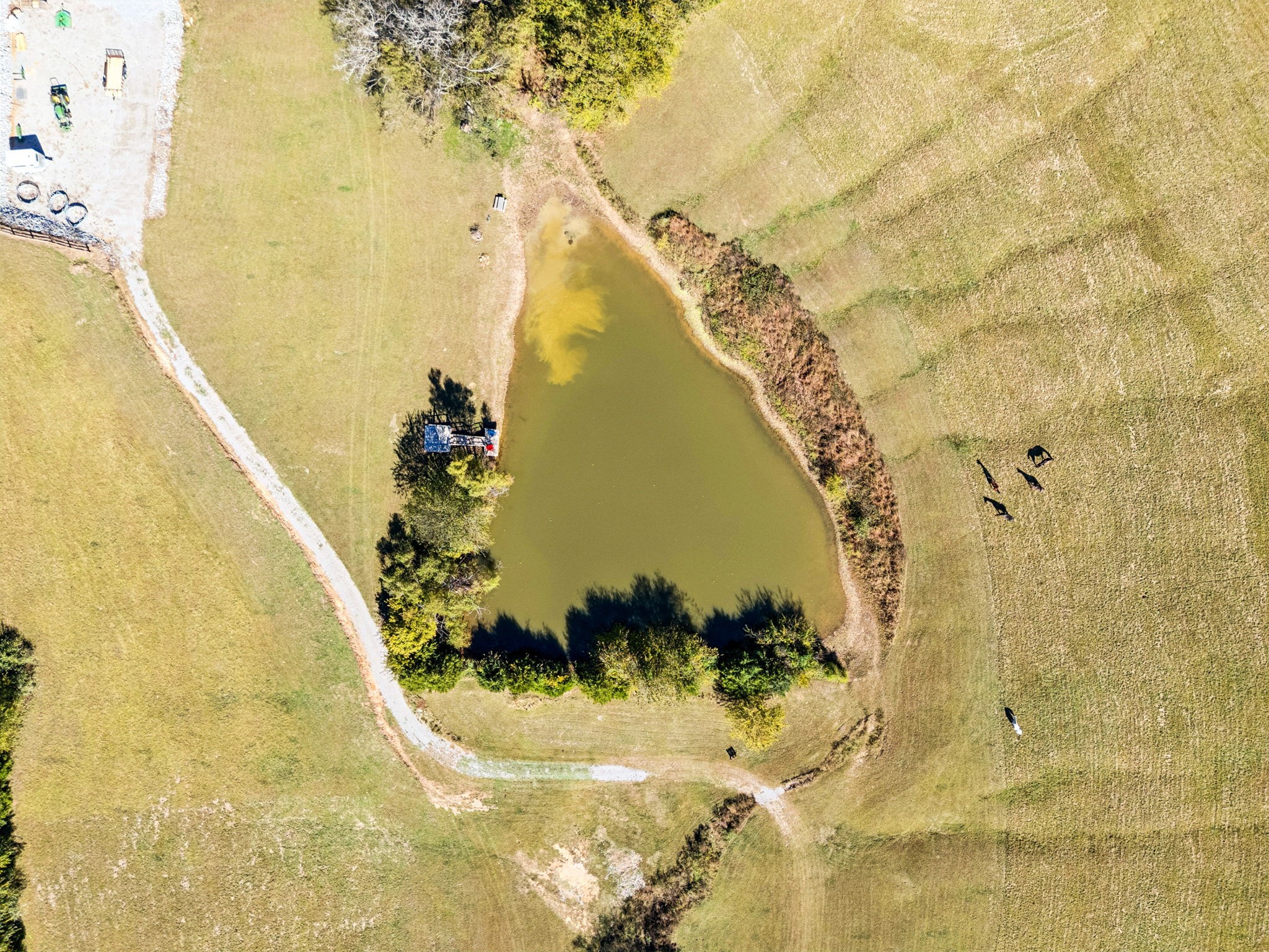  2846 Fuller Hollow Rd, Cornersville, TN, 37047 - 物件實景
