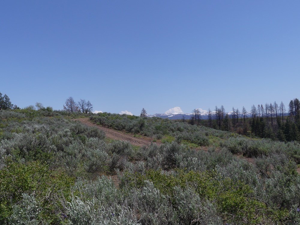 Indian Valley, Idaho, 83682, United States, ,Land,For Sale,1976667