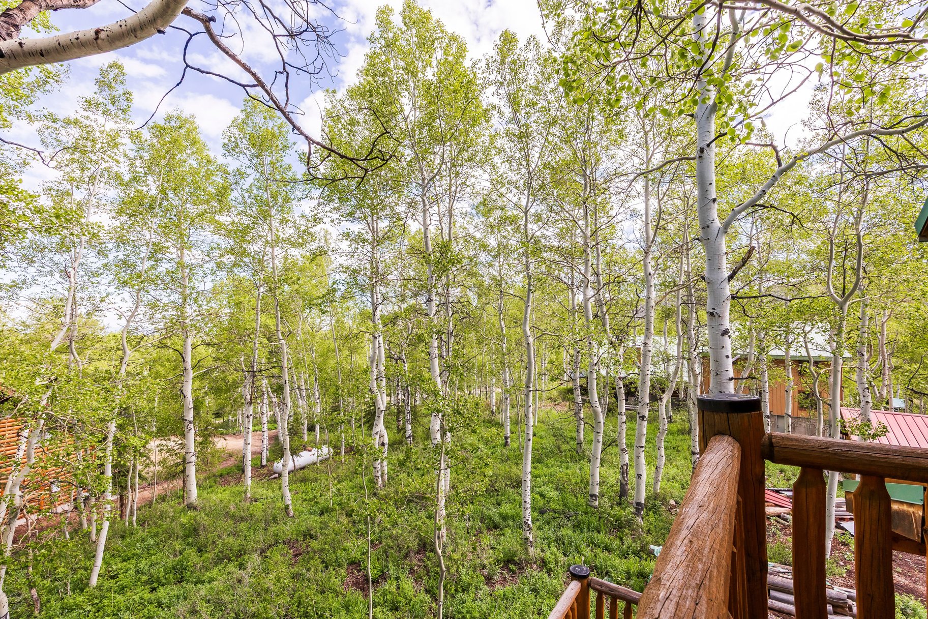  Luxury Mountain Home in the Coveted Timber Lakes Community of Heber - 物件實景