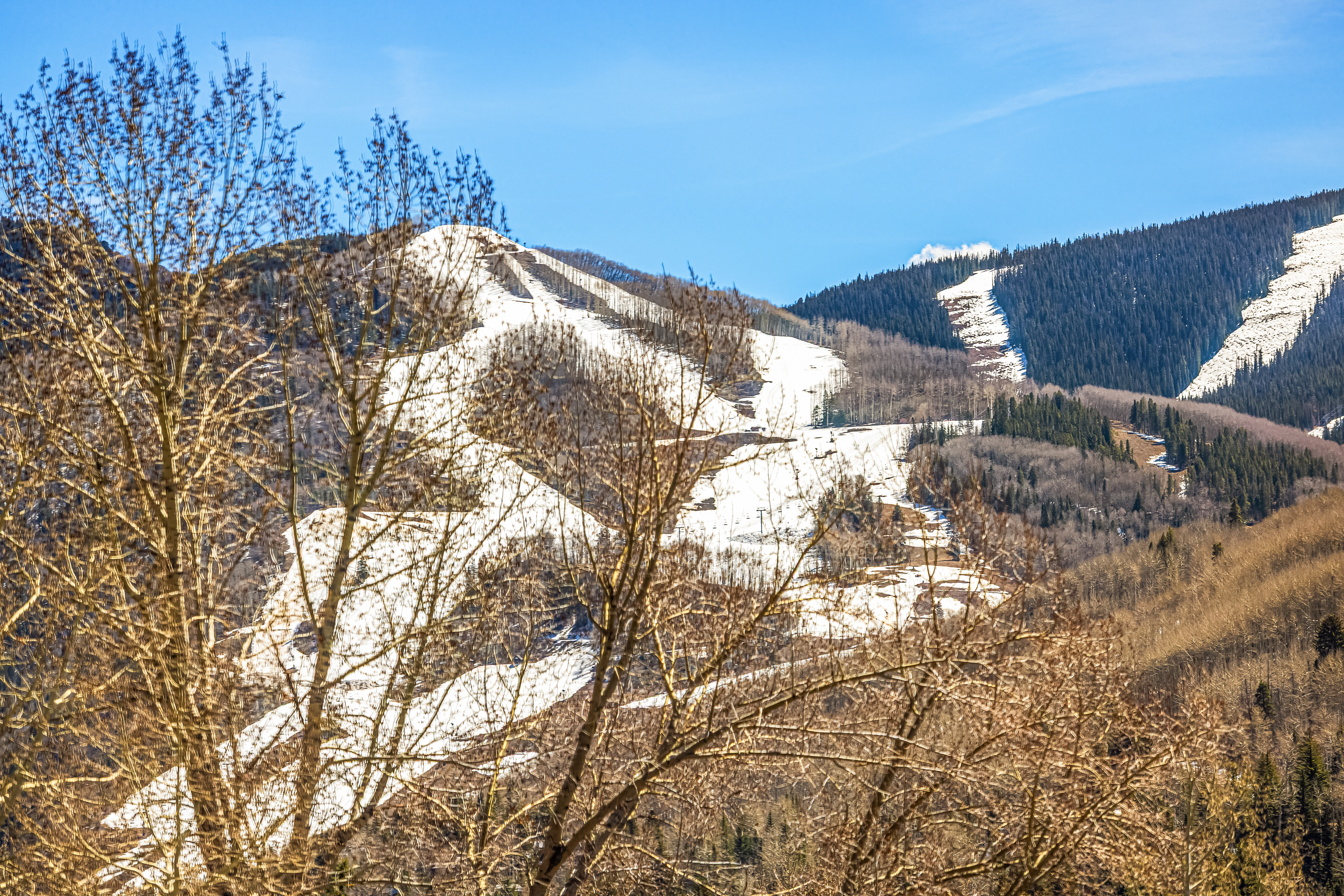  Brooktree Residence #205A - 物件實景