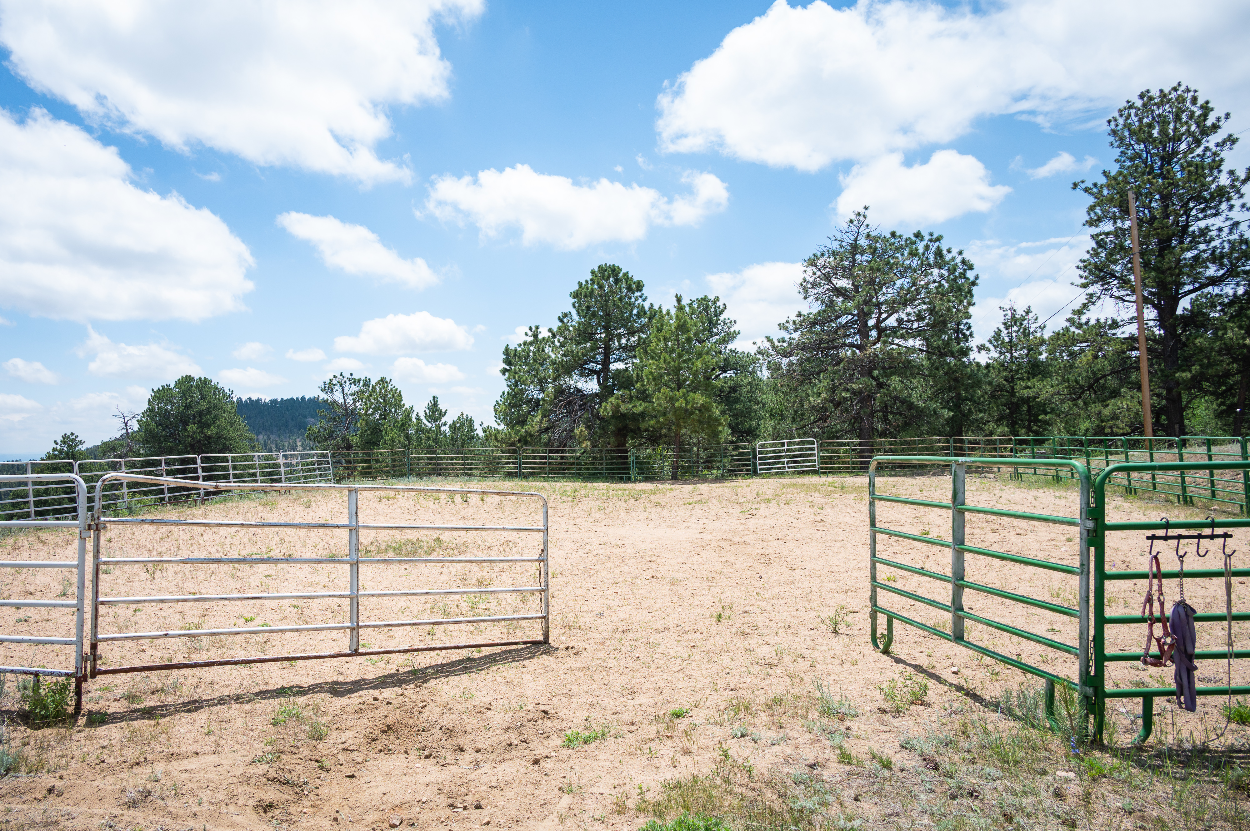 Rare Turn Key Ready Horse Property with Water Rights - 物件實景