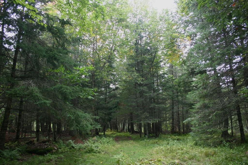Butternut, Wisconsin, 54514, United States, ,Residential,For Sale,1921385