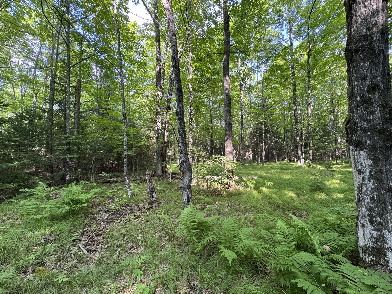 Mercer, Wisconsin, 54547, United States, 32 Bedrooms Bedrooms, ,1 BathroomBathrooms,Residential,For Sale,1872742