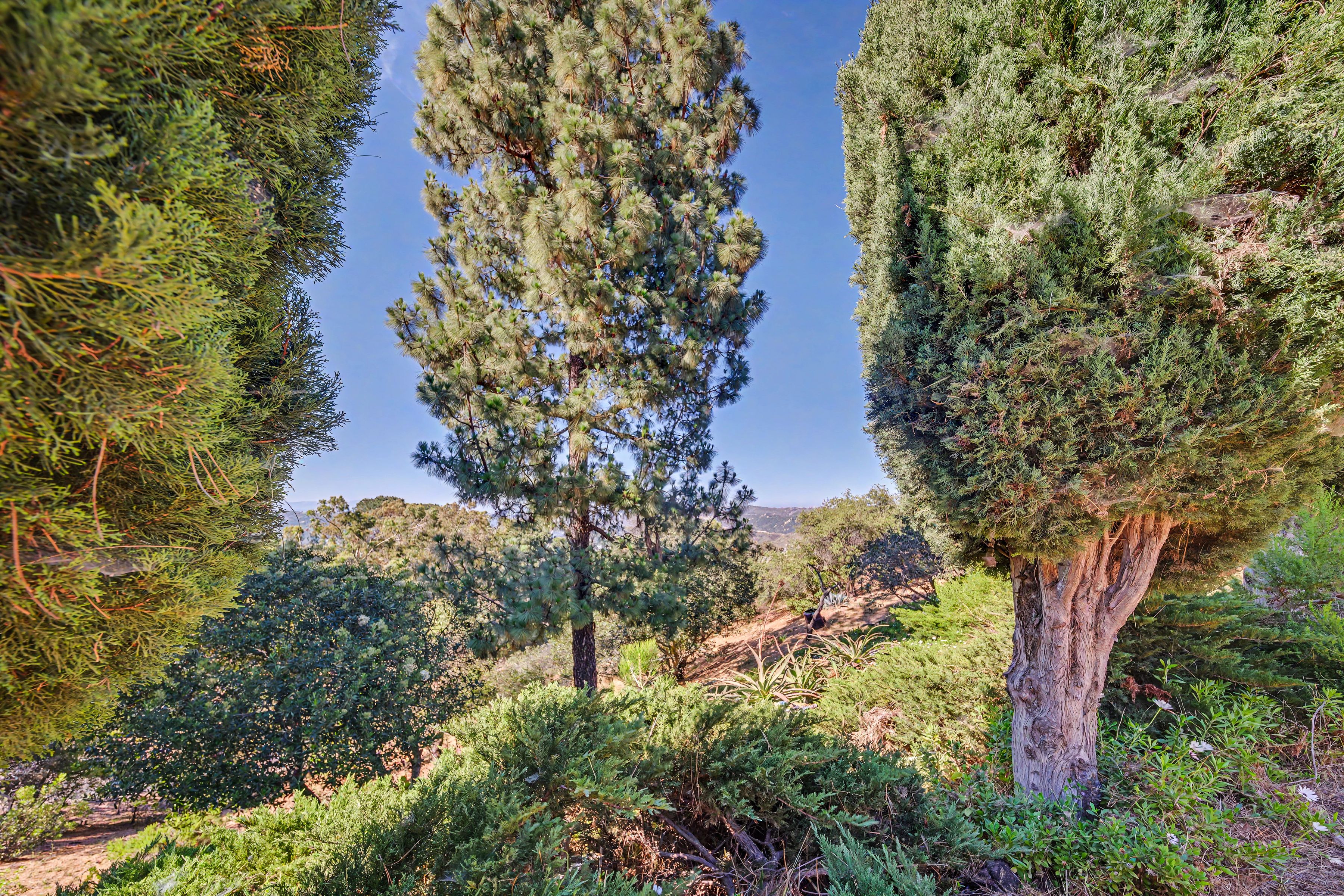  2188 Tuna Canyon Rd - 物件實景
