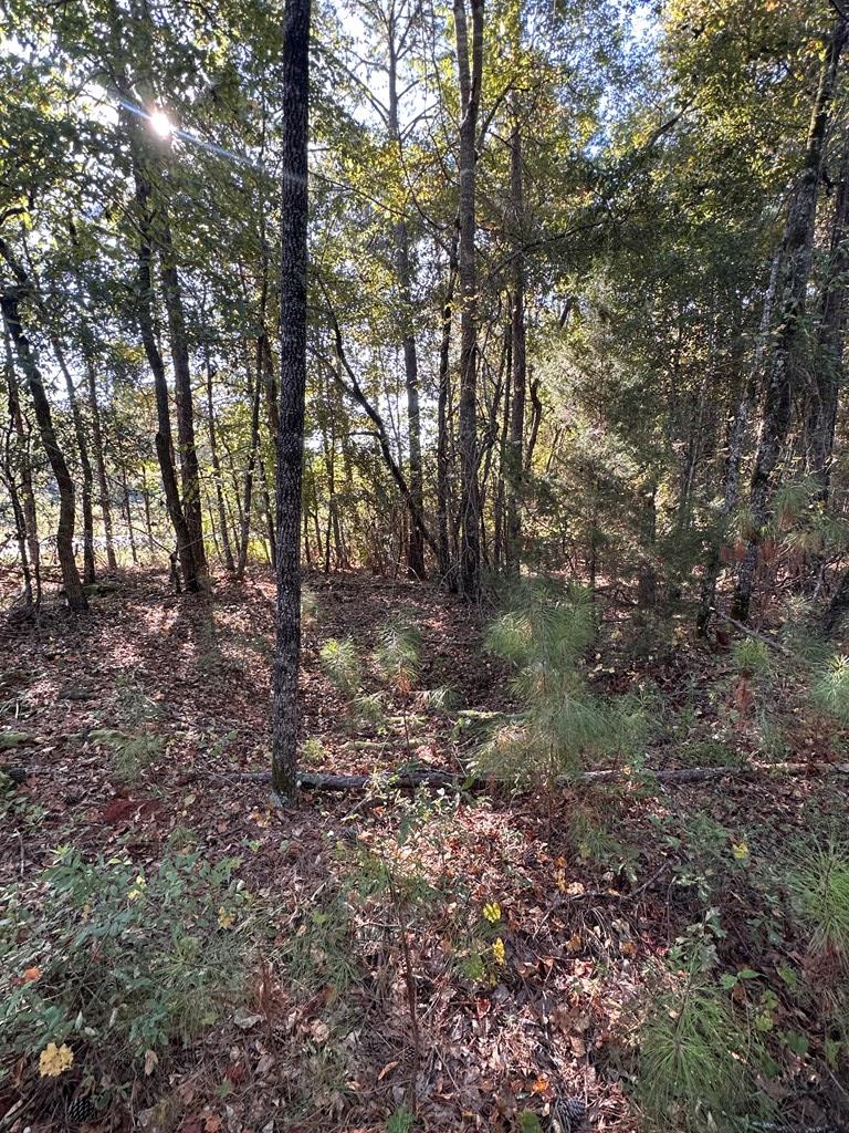 Richland, Georgia, 31825, United States, ,Residential,For Sale,1947054