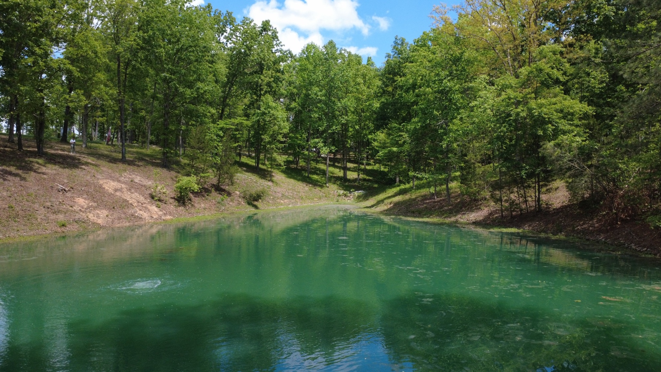  7948 Daugherty Capley Rd, Primm Springs, TN, 38476 - 物件實景