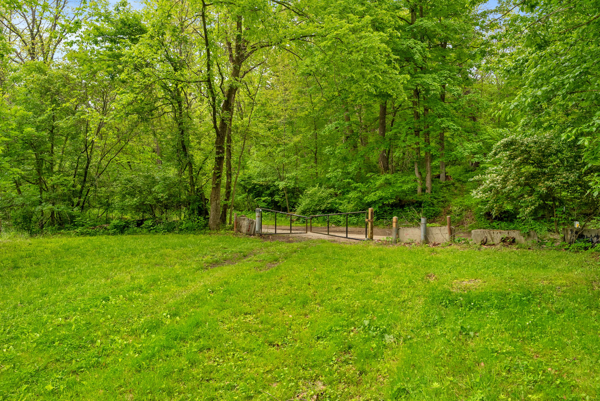 Rosedale, Indiana, 47874, United States, ,Land,For Sale,2049036