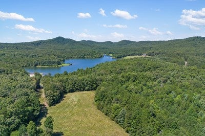 Blairsville, Georgia, 30512, United States, ,Land,For Sale,1933654