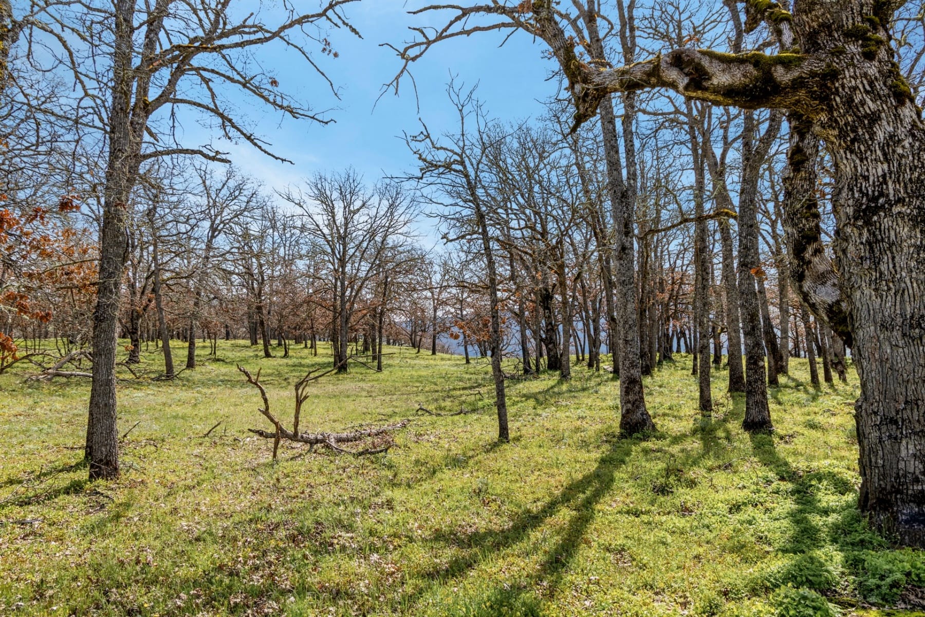  10 CANYON RD Lyle, WA 98635 - 物件實景