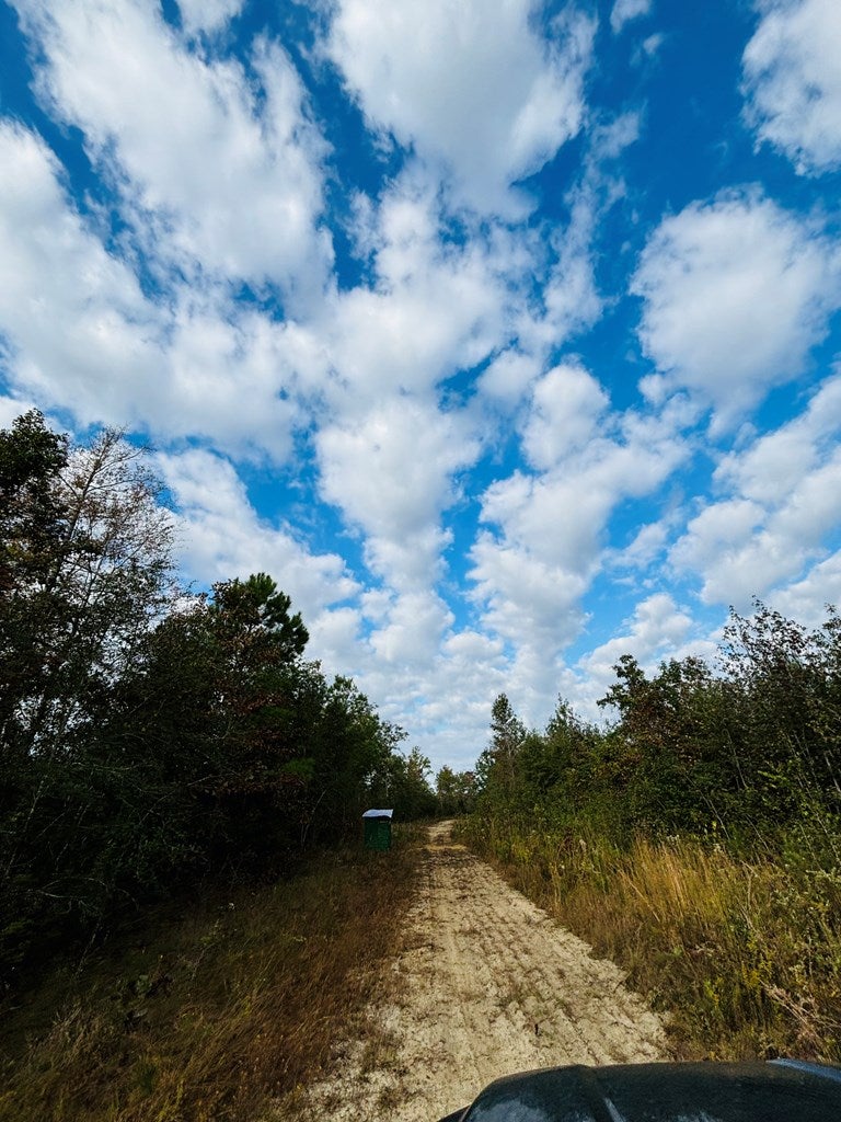 Abbeville, Georgia, 31001, United States, ,Land,For Sale,1975130