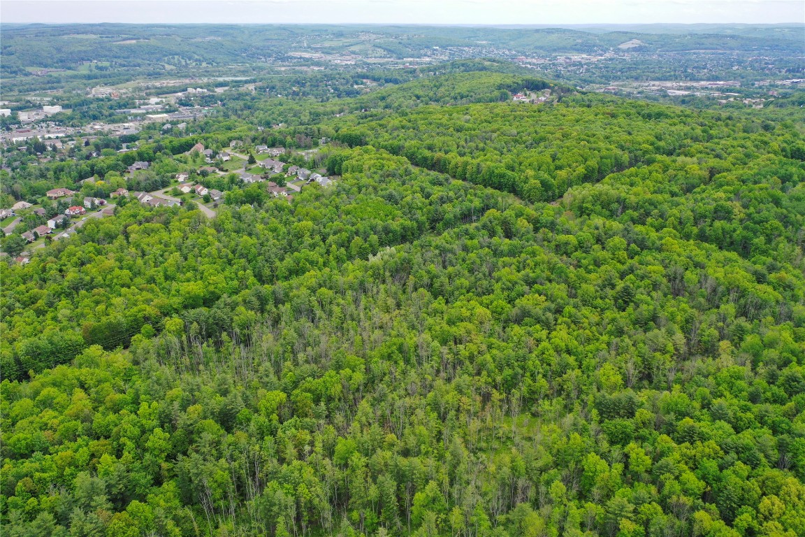 Vestal, New York, 13850, United States, ,Residential,For Sale,1935631