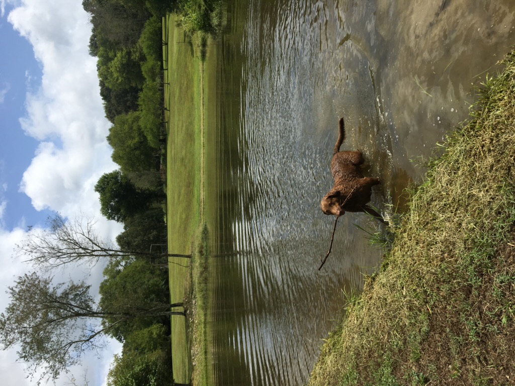 Mena, Arkansas, 71953, United States, 3 Bedrooms Bedrooms, ,3 BathroomsBathrooms,Residential,For Sale,1979119